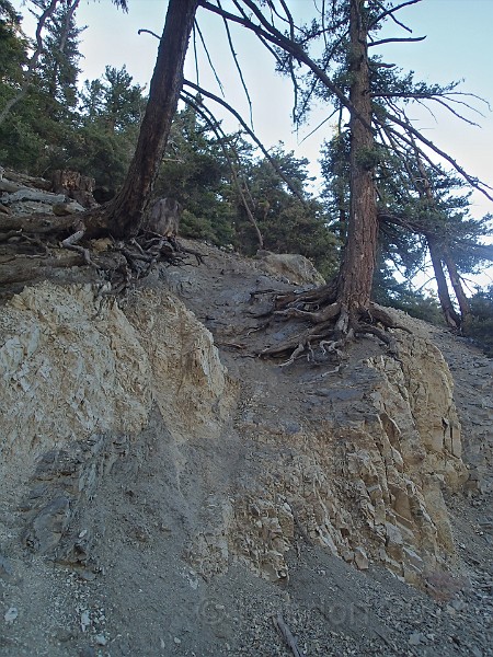 2014 Mt Baldy Cali 033.JPG - Summit Mt San Antonio (Mt Baldy) California